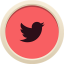 twitter_icon